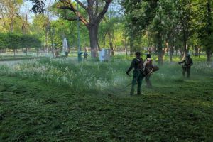 De luni se coseşte din nou iarba din Timişoara. Prima dată în parcuri, la locuri de joacă şi pe bulevarde