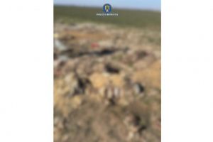 Deseuri si resturi de animale, abandonate pe raza localitatii Lumina! Politistii au intocmit dosar penal