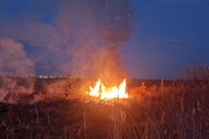 FOTO. Patru incendii de vegetaţie izbucnite în judeţul Satu Mare, în această săptămână. Semnal de alarmă tras de pompieri