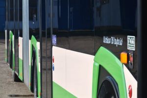 Mai multe autobuze îşi schimbă traseul, duminică, în Satu Mare. Staţii suspendate şi devieri în zona centrală