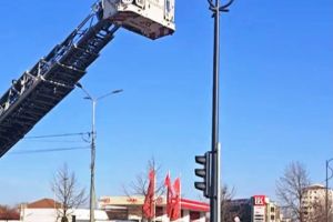 VIDEO Porumbel prins în capcană pe un stâlp, salvat de pompieri cu ajutorul unei autoscări. Zburătoarea a fost preluată de un voluntar al ACDB Focşani