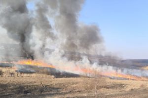 VIDEO Noi incendii de vegetaţie uscată la Botoşani. Zeci de hectare au ars în cursul după-amiezii