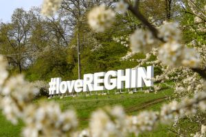 Curăţenie de primăvară la Reghin