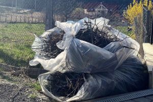 Campanie de colectare gratuită a deşeurilor vegetale. Vezi programul