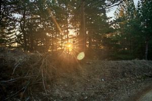 #ConstantaEsteBine: 14 martie 2026 - Zi de sambata si final de saptamana de martie 