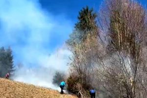 Incendiu de vegetaţie în zona lacului Colibiţa, în apropierea pădurii