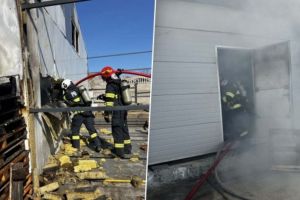 Incendiu într-o hală cu produse alimentare din Timiş