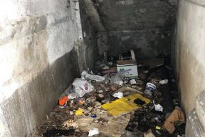 Gunoaiele de sub nasul primarului Robu, adunate voluntar de o timisoreanca