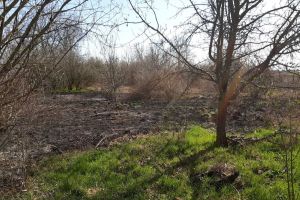 FOTO/VIDEO. Incendii pe bandă rulantă în Satu Mare: vegetaţie în flăcări în mai multe localităţi. Pompierii lucrează la foc continuu
