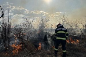 Incendiu pe o suprafaţă de 10 hectare de vegetaţie uscată şi mărăciniş în Pietriş (Deda)