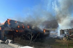 Incendiu puternic la o gospodărie din Leşu