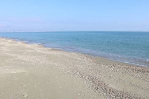 Ucraina a atacat si a avariat doua nave folosite de armata rusa in Marea Neagra