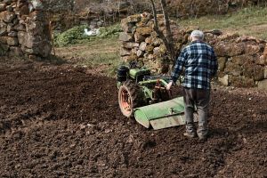 Motosapa versus uneltele tradiţionale de grădinărit