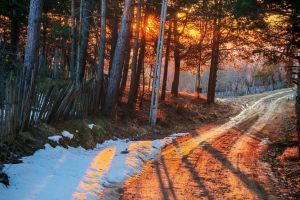 #ConstantaEsteBine: 15 martie 2026. Duminica din mijlocul lunii martie, luna in scadere, tranzit de Mercur retrograd