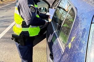 Razii într-un oraş din Botoşani. 350 de persoane şi maşini verificate. Ce a păţit şoferul unui camion