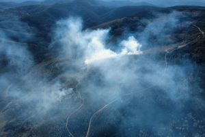 FOTO/VIDEO. Incendiu uriaş în judeţul Satu Mare: ard 150 de hectare! Mobilizare impresionantă de forţe