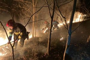 Incendiu de vegetaţie uscată în Livezeni