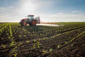 România ratează o oportunitate strategică majoră în criza globală a îngrăşămintelor: Azomureş intră în conservare şi dă afară mii de oameni