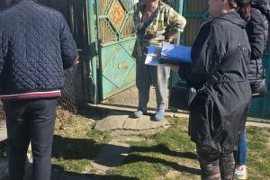 Chiar şi gratuit, nu prea vor să îşi sterilizeze câinii! Creşte numărul maidanezilor!