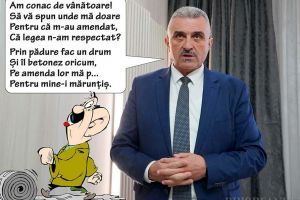 Puia, ca-n junglă: Șeful DGASPC Bihor şi-a tras drum asfaltat prin pădure până la conac