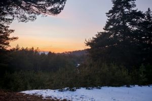 #ConstantaEsteBine: 16 martie 2026. O noua saptamana din martie. Ne apropiem de luna noua in Pesti.