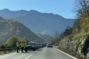 Trafic „gâtuit” în două zone de pe Valea Oltului: se montează bariere pentru animalele sălbatice