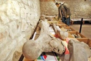 Mamutul preistoric împrumutat parcului Dino din Râşnov a revenit la Muzeul din Baraolt