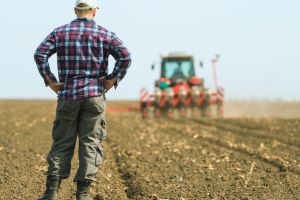 APIA, anunţ pentru toţi fermierii din judeţul Botoşani. Se întâmplă de astăzi!