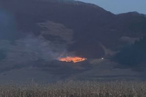 33 de incendii de vegetaţie, peste 70 ha afectate. Amenzi de 11.500 lei