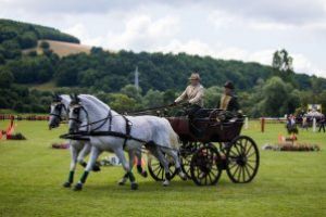 Bartha Eduard, câştigătorul primei etape a Campionatului Naţional de Atelaje cu doi cai