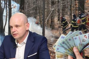 Prefectul cere controale după incendiul uriaş de la Racşa: arderea vegetaţiei poate aduce amenzi de până la 100.000 de lei