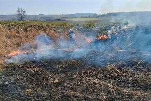 Val de incendii de vegetaţie în judeţul Sibiu: sute de hectare afectate / foto video