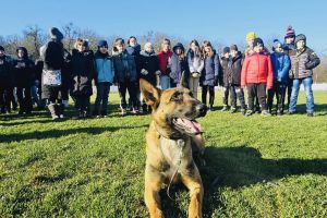Ziua Porţilor Deschise la Centrul Chinologic din Sibiu: nu lipsesc demonstraţiile cu câini dresaţi
