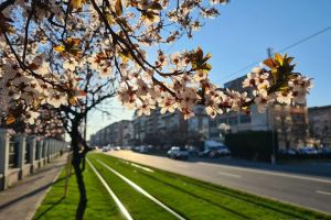 Primăvară cu oscilaţii: maxime de până la 16 grade şi ploi posibile după 26 martie