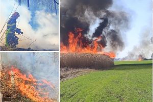 Bărbat găsit carbonizat pe o păşune incendiată, în Bihor. Pompierii au stins 20 de incendii de vegetaţie în doar două zile (FOTO/VIDEO)