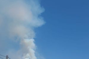 Incendiu de pădure pe 10 hectare, la Parva. Intervenţie dificilă a pompierilor