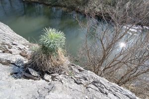 La Tunelele Romane de pe Cheile Nerei