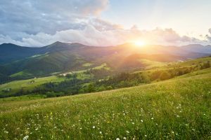 S-a actualizat vremea pe 2 săptămâni: vor fi şi 17 grade în termometre