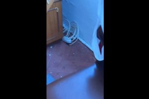 FOTO+VIDEO: CJPC Constanta verifica conditiile de cazare la un camin din zona strazii Caraiman