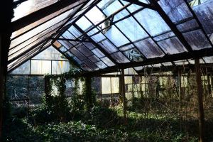 Iniţiativă comună pentru revitalizarea serelor UCMR