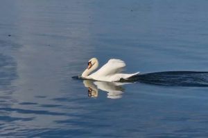 Primavara isi face simtita prezenta la malul marii! Cum va fi vremea in urmatoarele doua saptamani in Dobrogea