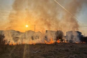 Incendiu de vegetaţie la Dumbrăviţa. Se caută responsabilii