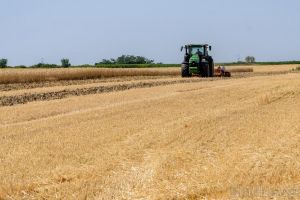 APIA Bihor a început preluarea cererilor de plată pentru subvenţia pe terenul agricol pe 2026