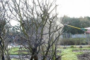 Agricultura pe înţelesul tuturor – Lucrări agricole în repausul vegetativ