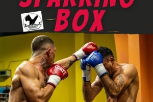 Data SPARRING BOX Zărneşti a fost modificată