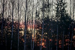 #ConstantaEsteBine: 17 martie 2026. De cateva zile ne bucuram de prezenta soarelui pe cer, cea mai mare parte din zi