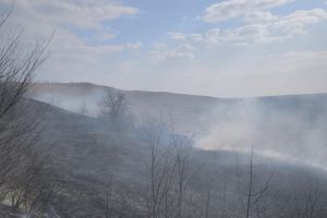 FOTO & VIDEO Incendii în patru localităţi din judeţul Botoşani! De la ce au pornit flăcările