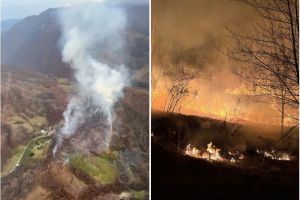 Incendiu de vegetaţie de amploare pe Valea Aleului: pompierii au salvat casele de vacanţă din calea flăcărilor (FOTO/VIDEO)