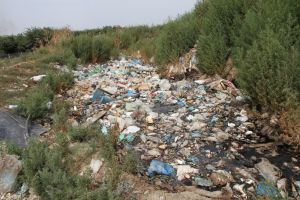 România, blocată în criza deşeurilor: 88% nu sunt reciclate. Garda de Mediu cere un nou plan naţional şi anunţă un val de controale