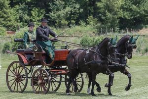 Cei mai frumoşi şi mai bine dresaţi cai din România sunt din BN (FOTO-VIDEO)